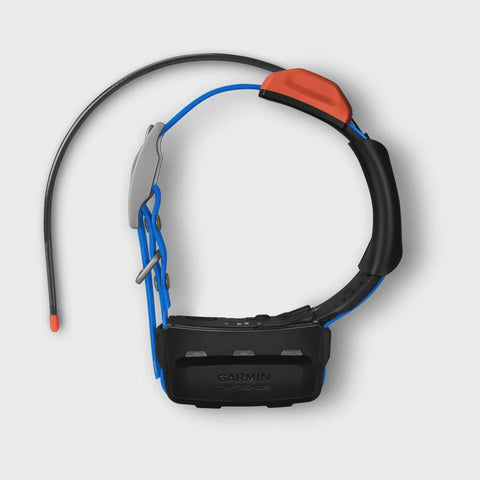 Garmin T5X Tracking Collar