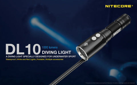 DL10  Dive torch