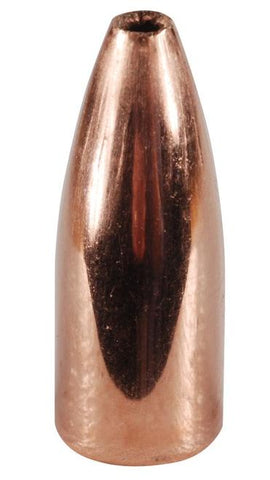 6mm Projectiles 55gr Hollow Point Flat Base