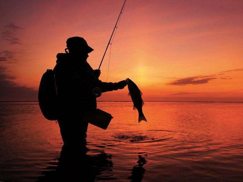 Silhouette of a person fishing, standing in the water with a sunset