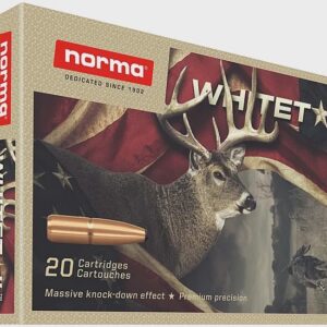 243 WIN Norma 100gr CTN (20 rds)a
