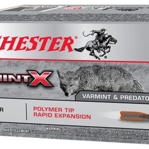 204 Ruger  Winchester VaramintX 32gr PT (20)