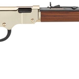 17 HMR Henry Golden Boy