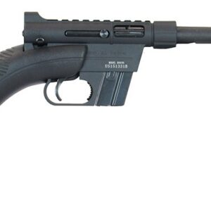 22 Henry Takedown Survival Rifle