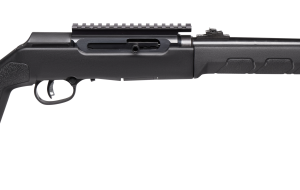 Savage A22 F Takedown 18" Package (#7220) .22LR